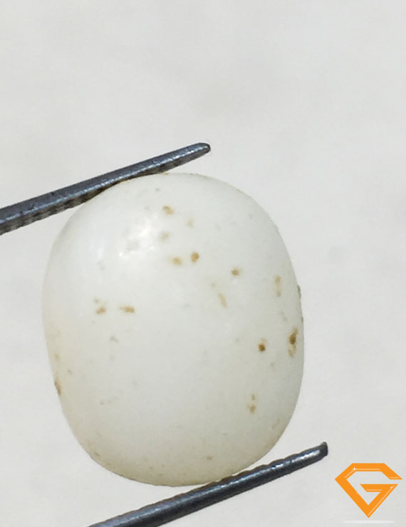 5.60 ratti/5.18 ct Natural Certified  White Coral/सफ़ेद मूंगा